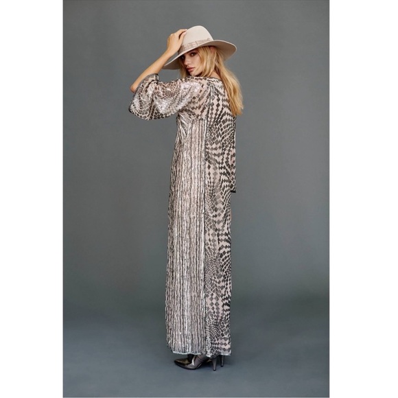 Anna Sui Silver Maxi Dress - Picture 5 of 9